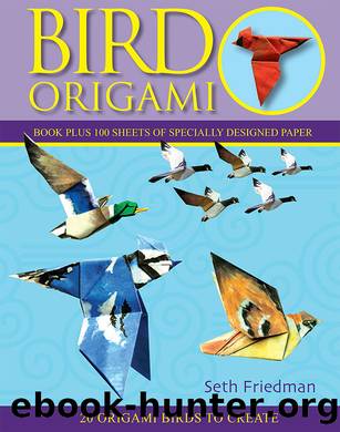 Bird Origami by Seth Friedman