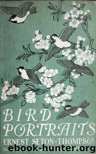 Bird Portraits by Ernest Thompson Seton