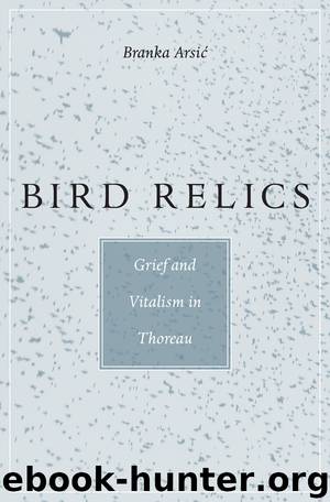 Bird Relics by Branka Arsic