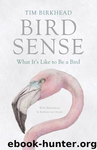 Bird Sense by Tim Birkhead