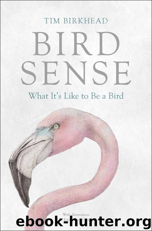 Bird Sense: What It's Like to Be a Bird by Tim Birkhead