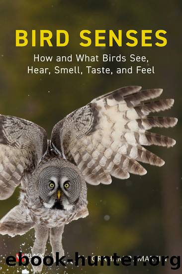 Bird Senses by Graham R. Martin;
