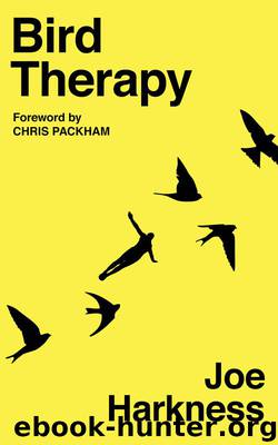 Bird Therapy by Joe Harkness