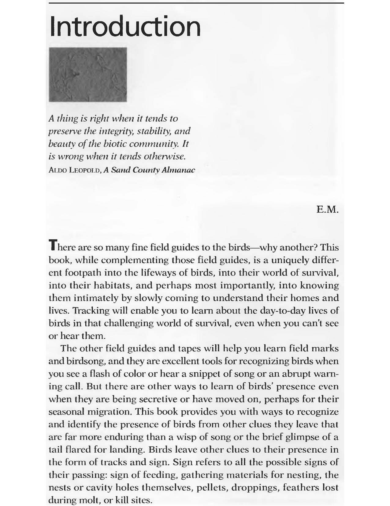 Bird Tracks and Sign [N. Amer. Species] by M. Elbroch et al