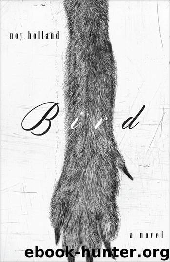 Bird by Noy Holland