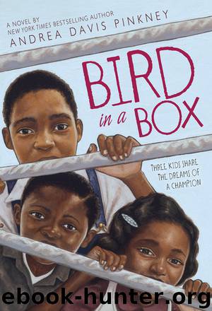 Bird in a Box by Andrea Davis Pinkney