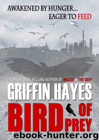 Bird of Prey: A Horror Novella by Hayes Griffin