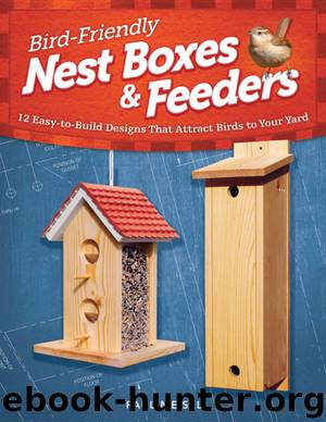 Bird-Friendly Nest Boxes & Feeders by Paul Meisel