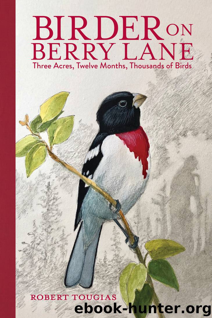 Birder on Berry Lane by Robert Tougias