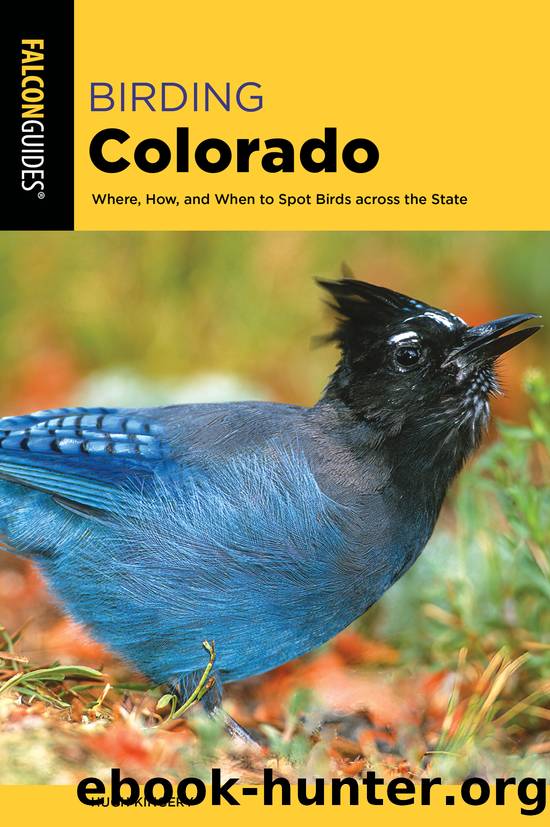 Birding Colorado by Hugh Kingery