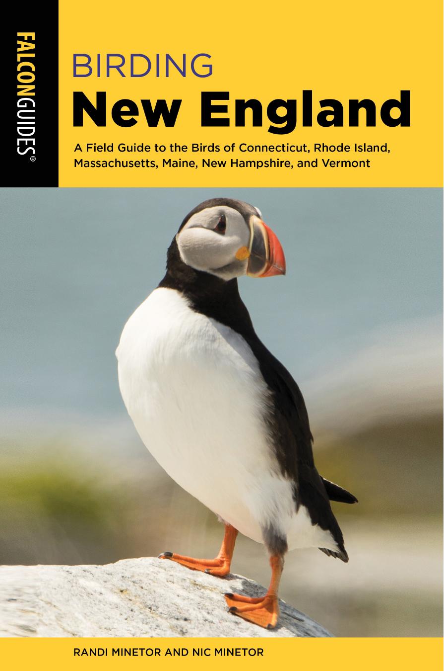 Birding New England by Randi Minetor