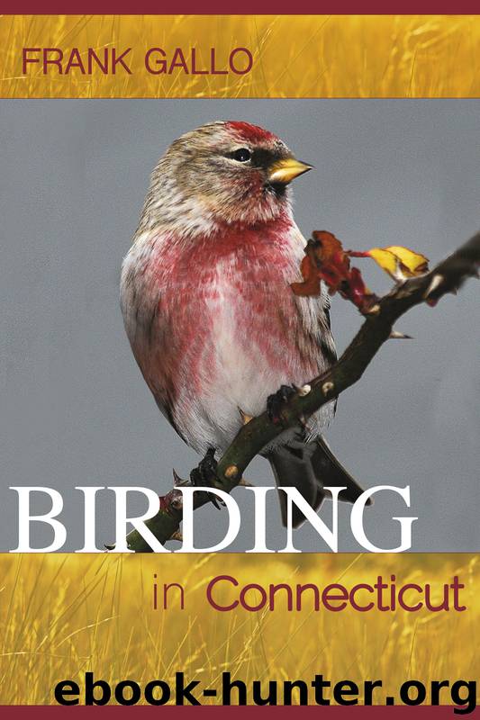 Birding in Connecticut by Frank Gallo