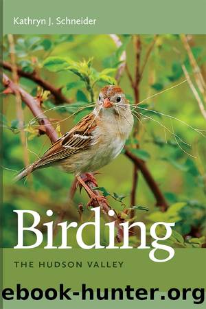 Birding the Hudson Valley by Kathryn J. Schneider