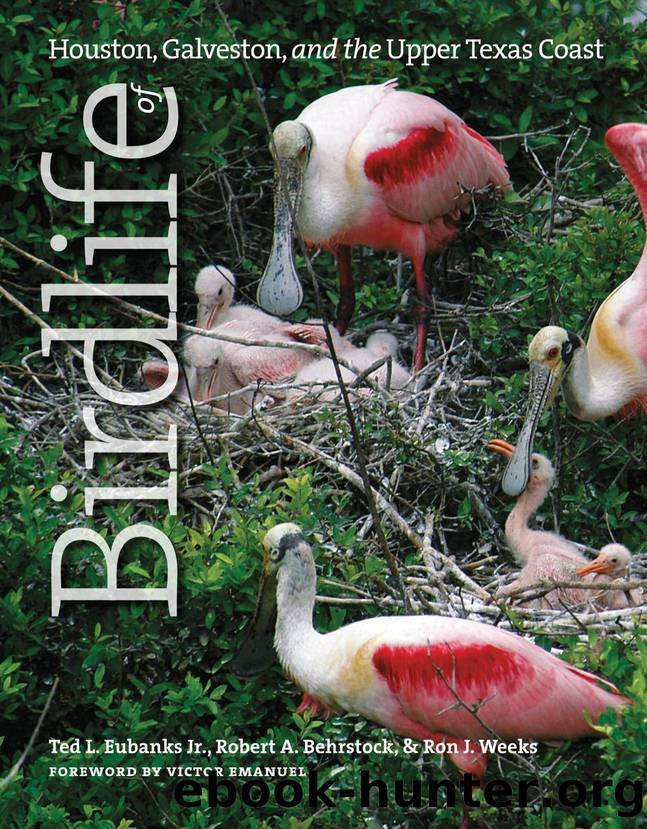 Birdlife of Houston, Galveston, and the Upper Texas Coast by Ted Eubanks; Robert A. Behrstock; Ron J. Weeks; Victor Emanuel