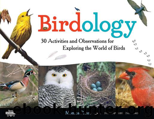 Birdology by Monica Russo