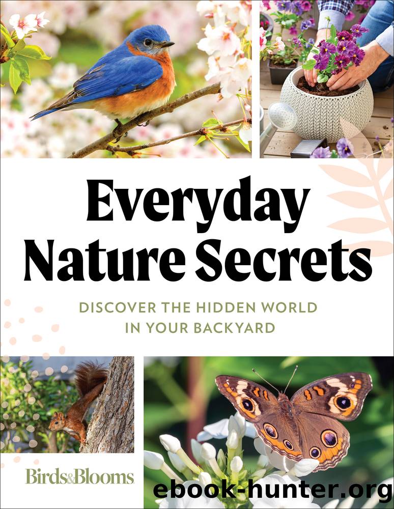 Birds & Blooms Everyday Nature Secrets by Discover the Hidden World in Your Backyard By Birds & Blooms