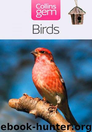 Birds (Collins Gem) by Flegg Jim