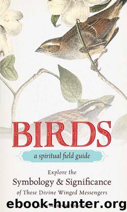 Birds - A Spiritual Field Guide: Explore the Symbology and Significance of These Divine Winged Messengers by Arin Murphy-Hiscock