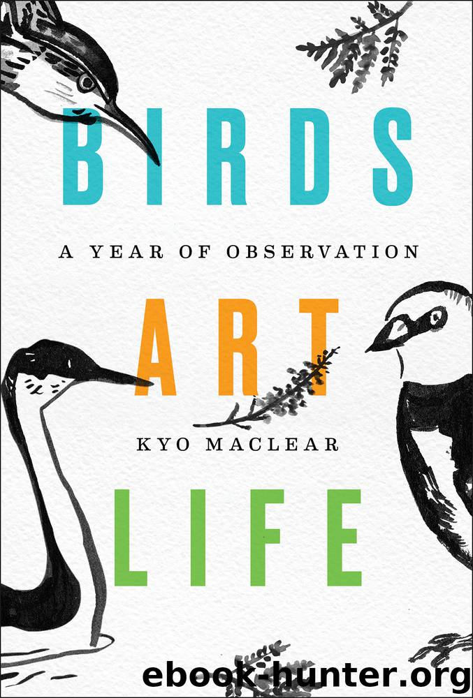Birds Art Life by Kyo Maclear