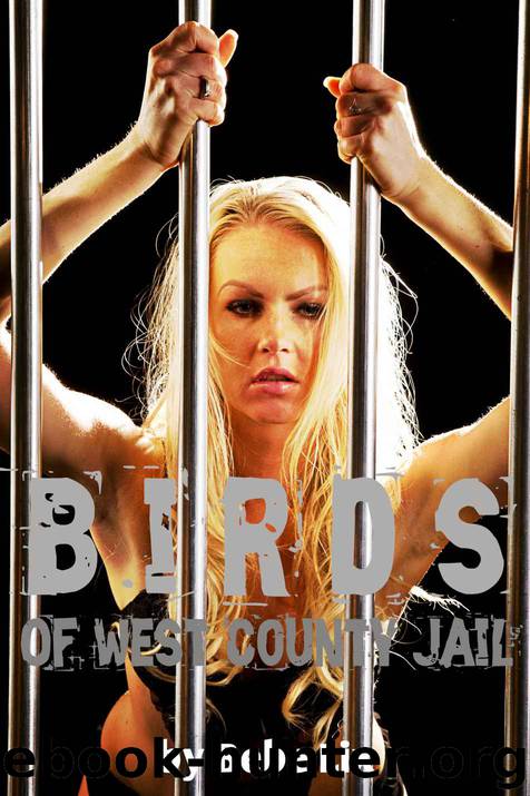 Birds Of West County Jail: Interracial Group Lesbian Erotica by Bebe Lix