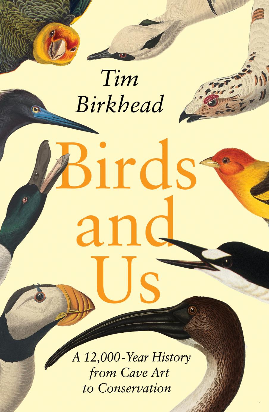 Birds and Us by Tim Birkhead