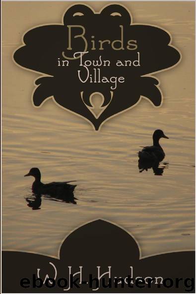 Birds in Town and Village by William Hudson