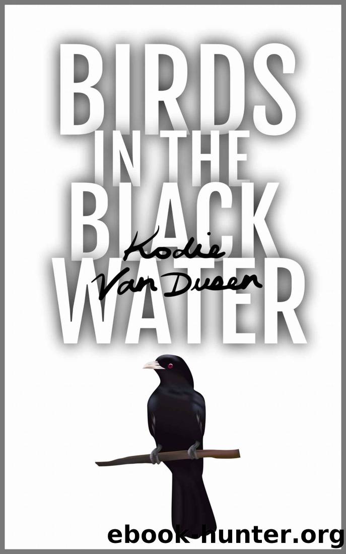 Birds in the Black Water: A Dark, Paranormal Drama by Kodie Van Dusen