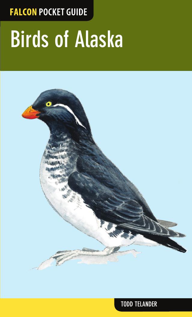 Birds of Alaska: A Falcon Pocket Guide by Unknow