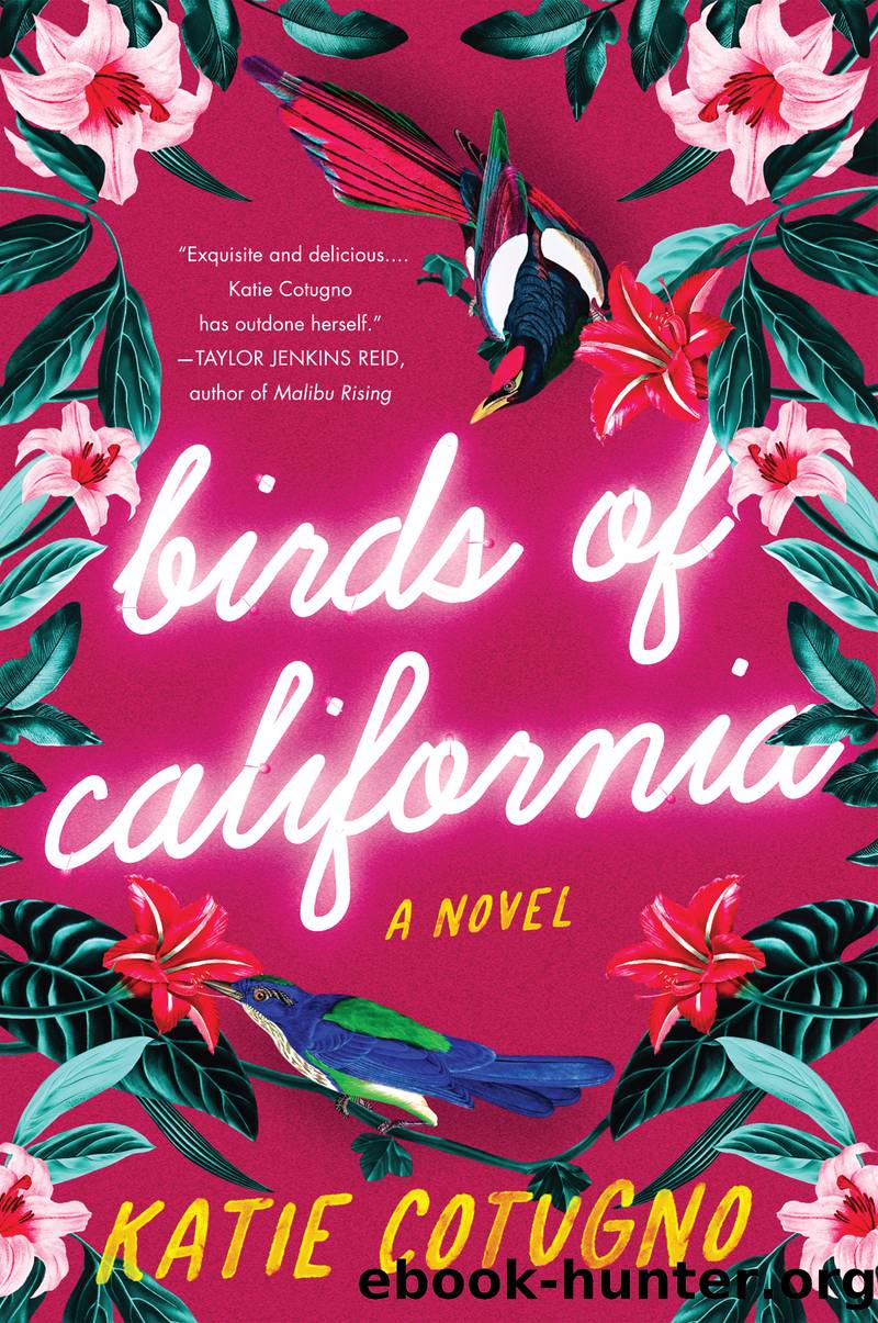 Birds of California by Katie Cotugno