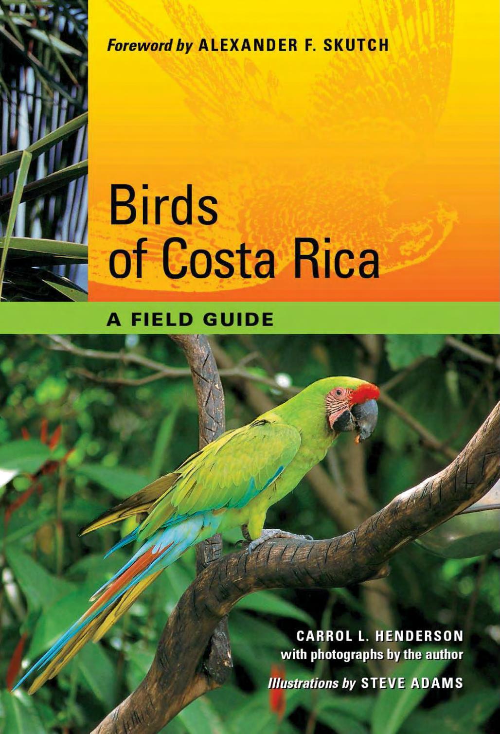 Birds of Costa Rica: A Field Guide by Carrol L. Henderson Steve Adams (ill.)