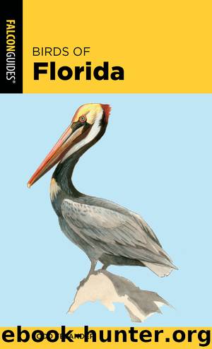 Birds of Florida by Todd Telander