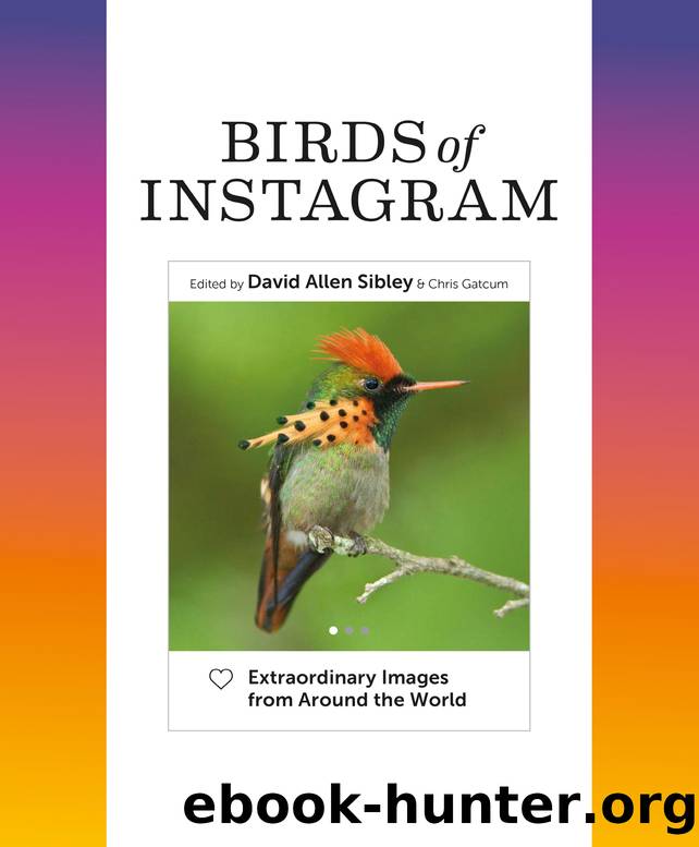 Birds of Instagram by Sibley David Allen; Gatcum Chris;