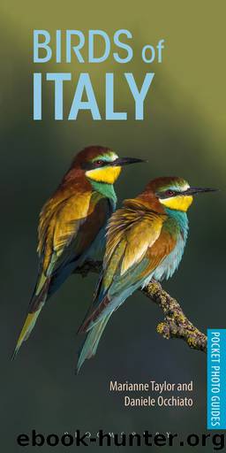 Birds of Italy by Marianne Taylor Daniele Occhiato
