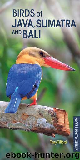 Birds of Java, Sumatra and Bali by Tony Tilford