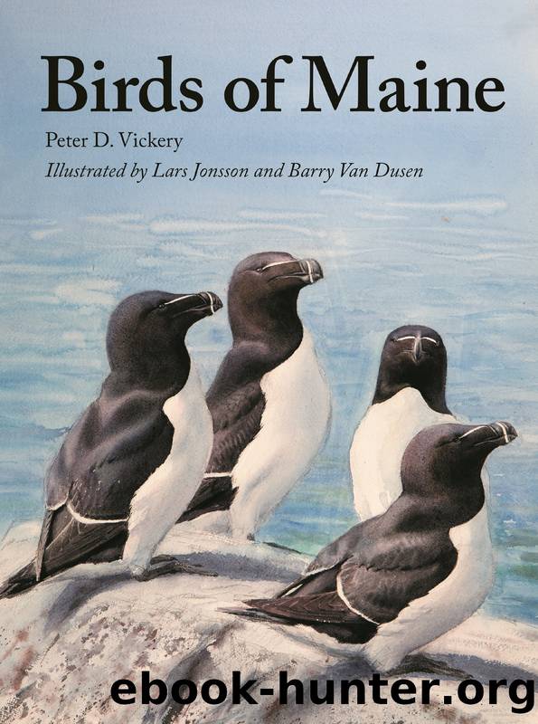 Birds of Maine by Peter D. Vickery