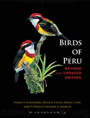 Birds of Peru by unknow