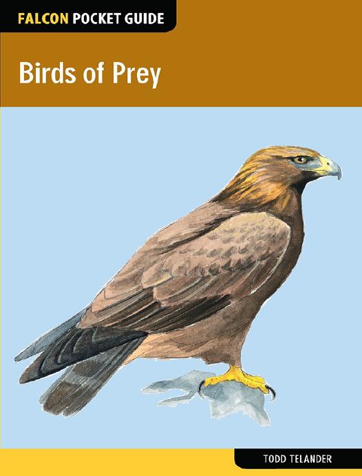 Birds of Prey (Falcon Pocket Guides) by Unknow