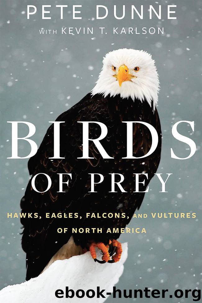 Birds of Prey by Pete Dunne & Kevin Karlson