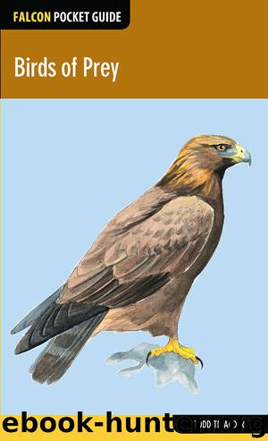 Birds of Prey by Todd Telander