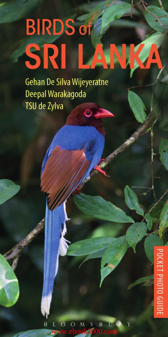 Birds of Sri Lanka (Pocket Photo Guides) by Unknow