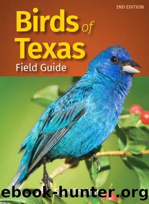 Birds of Texas Field Guide by Stan Tekiela