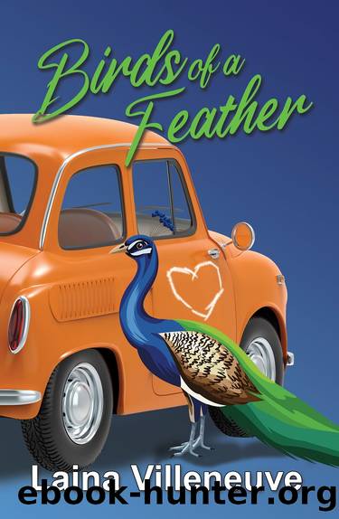 Birds of a Feather by Laina Villeneuve