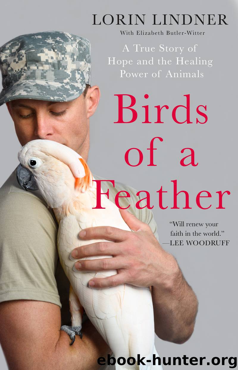 Birds of a Feather by Lorin Lindner