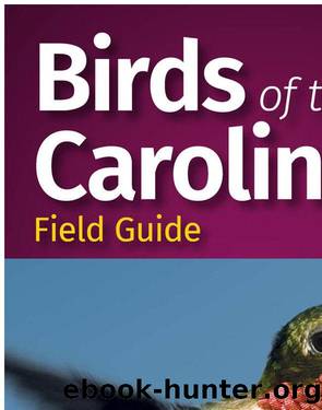 Birds of the Carolinas by Unknown