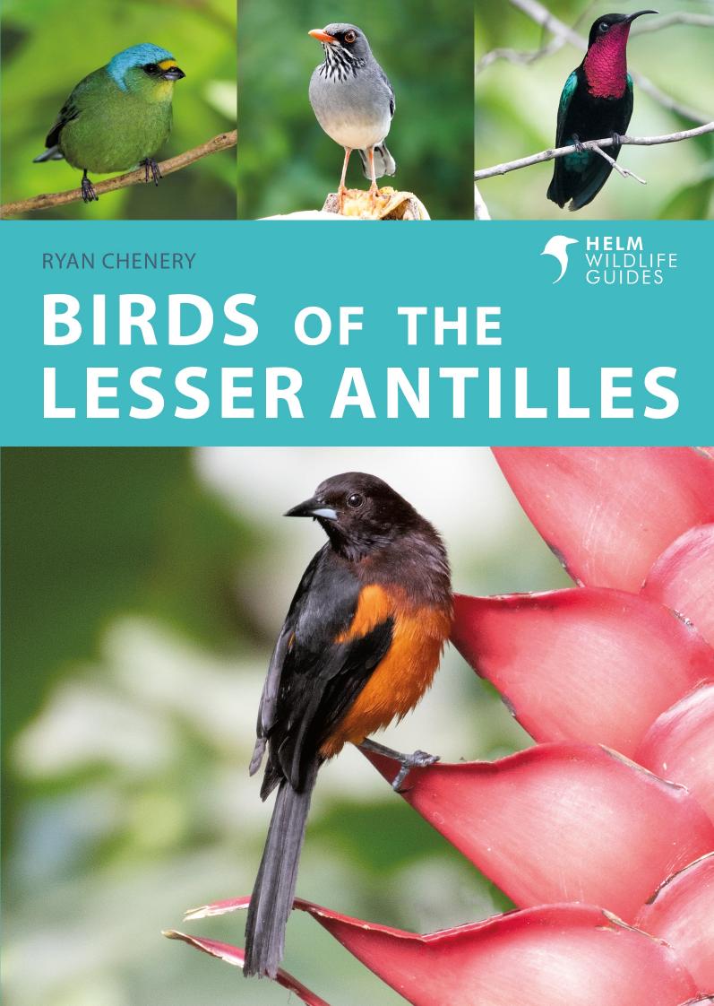 Birds of the Lesser Antilles by Ryan Chenery