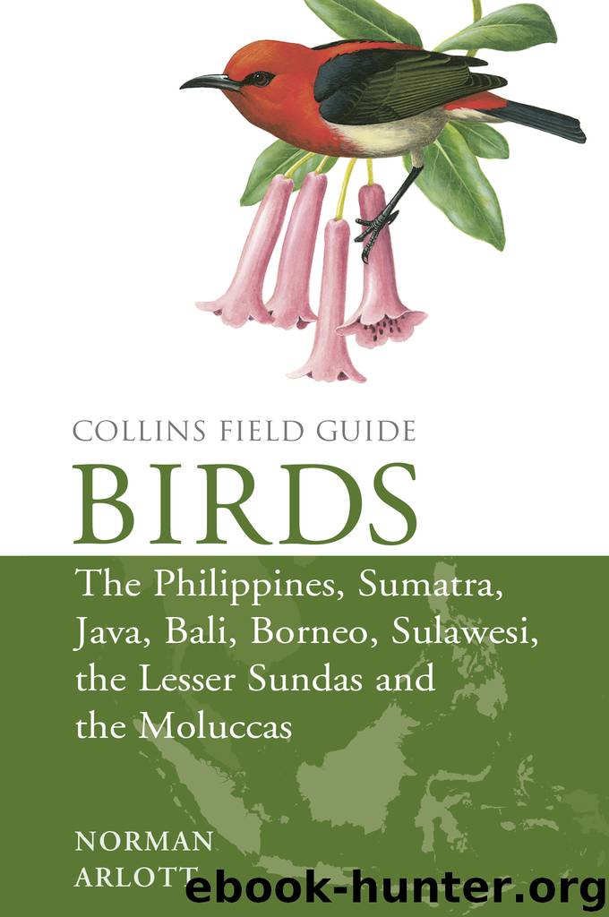 Birds of the Philippines by Norman Arlott