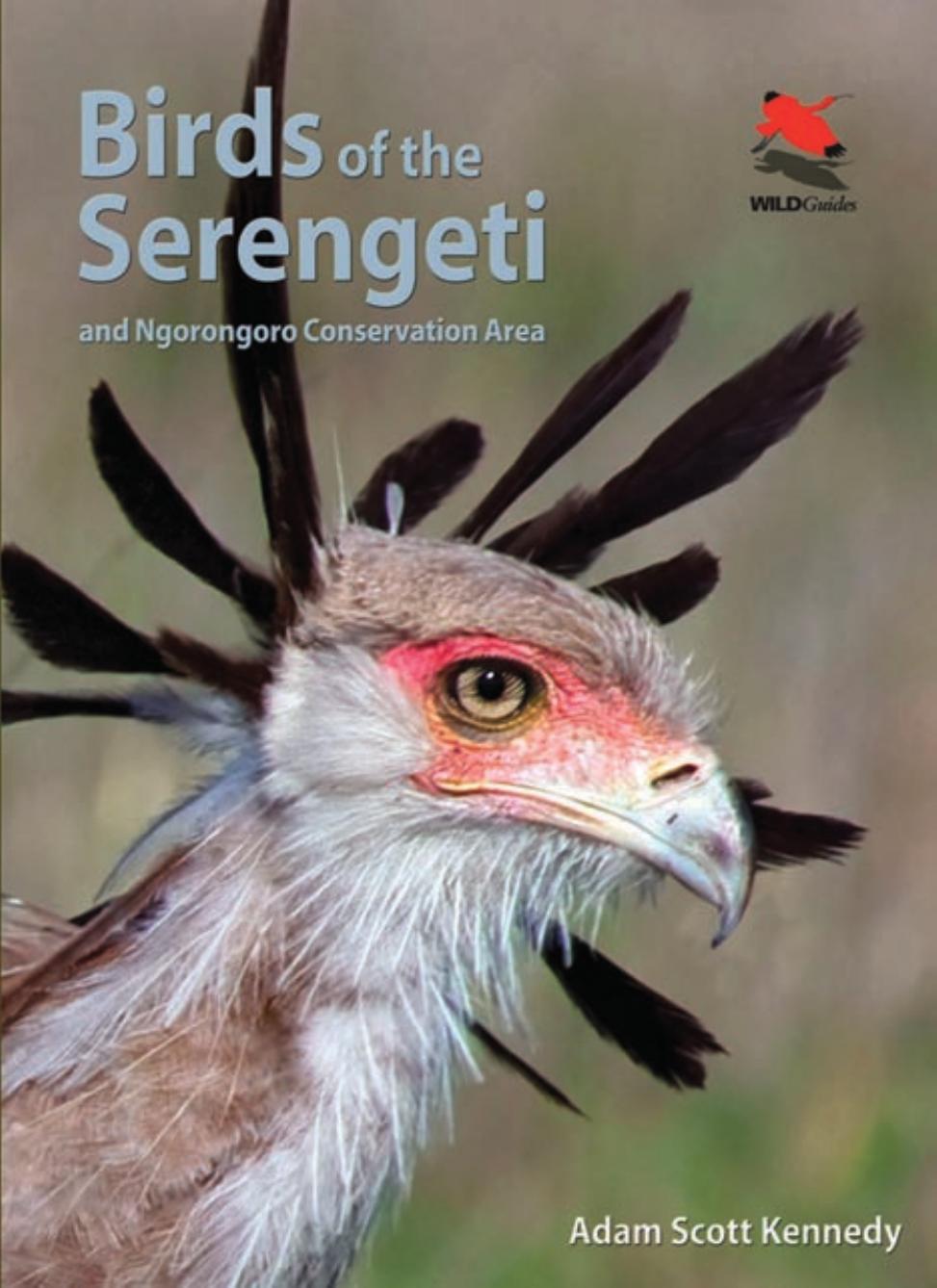 Birds of the Serengeti And Ngorongoro Conservation Area by Adam Scott Kennedy