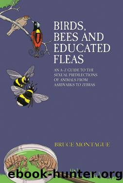 Birds, Bees and Educated Fleas--An A-Z Guide to the Sexual Predilections of Animals from Aardvarks to Zebras by Bruce Montague