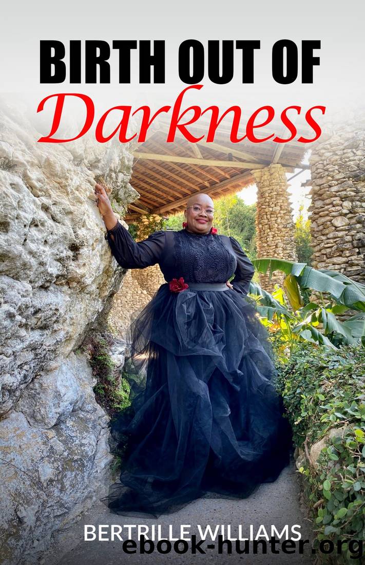 Birth Out of Darkness by Bertrille Williams