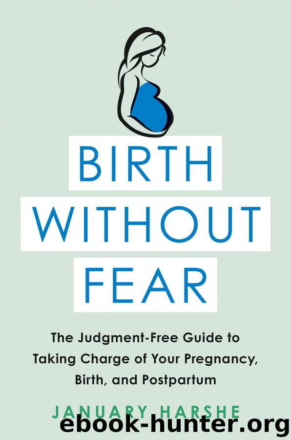 Birth Without Fear: The Judgment-Free Guide to Taking Charge of Your Pregnancy, Birth, and Postpartum by January Harshe
